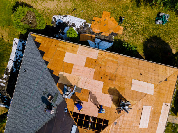 Best Roof Gutter Cleaning  in Roosevelt, NY