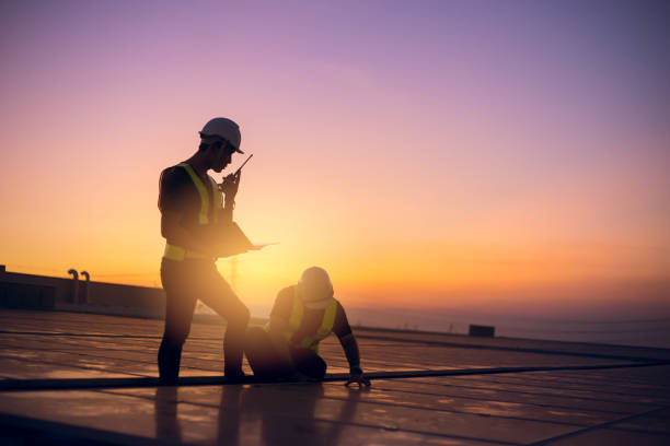 Best Sealant for Roof  in Roosevelt, NY